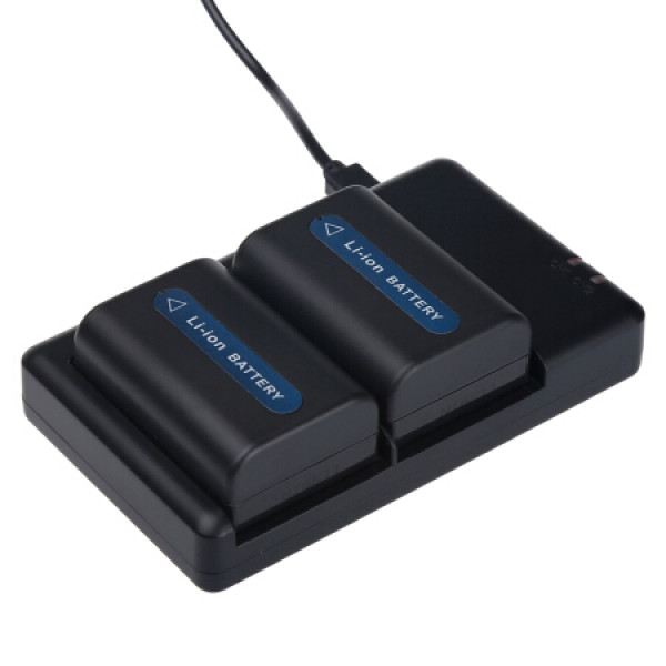 Зарядное устройство FB DC-DU-FM50 DC dual slot charger
